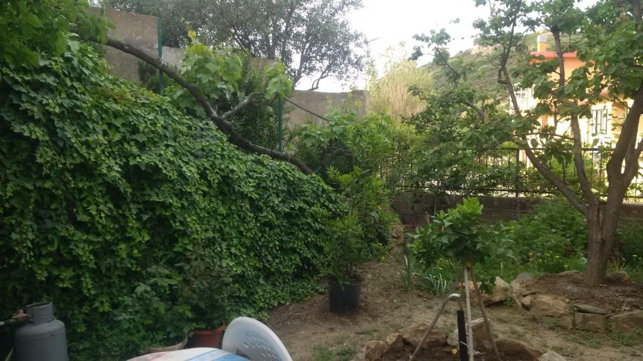 Lovely House Apartment Nebida Luaran gambar